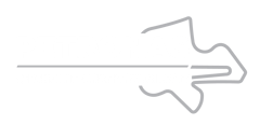 Sepang International Circuit